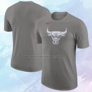 Camiseta Manga Corta Chicago Bulls Ciudad 2023-24 Gris